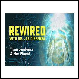 Joe Dispenza - Rewired Episode 1: Introduction to Your Brain