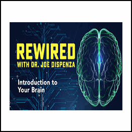 Joe Dispenza - Rewired Episode 8: Building Quantum Coherence