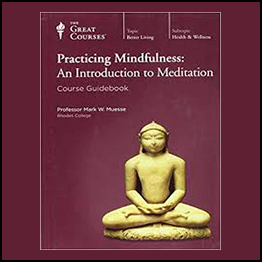 Practicing Mindfulness An Introduction to Meditation