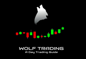 Roland Wolf – Wolf Trading A Day Trading Guide