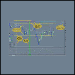 Craig Harris - Forex Trading Advice & Intro to The Natural Flow