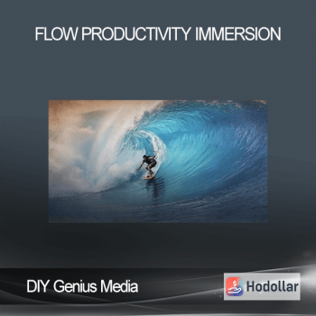 DIY Genius Media - Flow Productivity Immersion