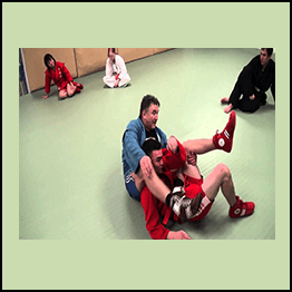 Igor Yakimov - Combat Sambo