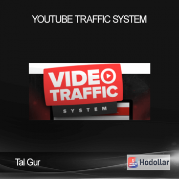 Tal Gur - YouTube Traffic System