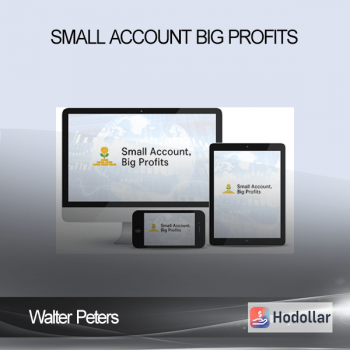 Walter Peters - Small Account Big Profits