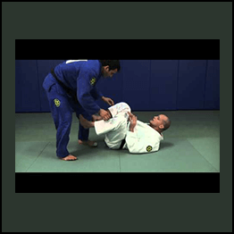 Xande RJbeiro - BJJ Instructional