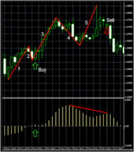 ForexKnight Courses (Inc. Indicators For MT4)