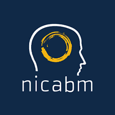 NICABM - How To Work With Perfectionism