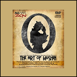 The Art of Mushin Meditation Course