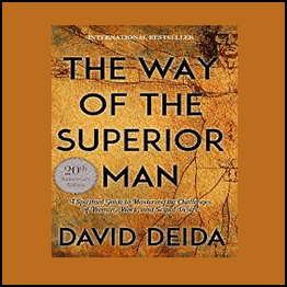 David Deida - The Superior Man Online Program