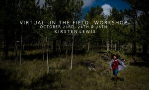 Virtual - In The Field - Workshop : The Making Of A Picture