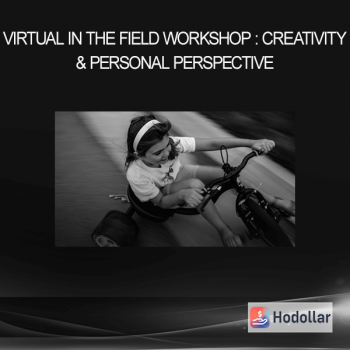 Virtual - In The Field - Workshop : Creativity & Personal Perspective