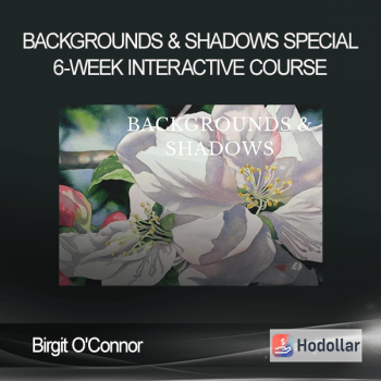 Birgit O'Connor - Backgrounds & Shadows Special 6-week Interactive course