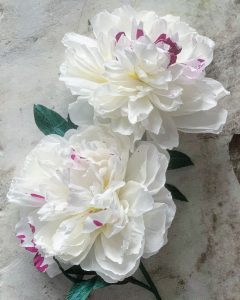 Amity K Libby - 'Festiva Maxima' Paper Peony (Flower and Jane 2020)