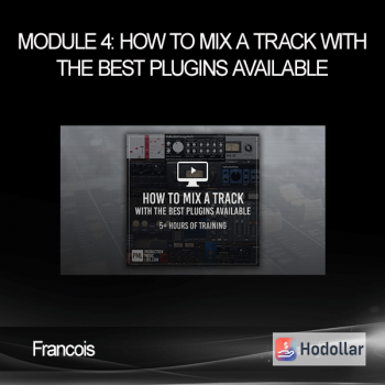 Francois - Module 4: How to Mix a Track with the Best Plugins Available