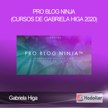 Gabriela Higa - Pro Blog Ninja (Cursos de Gabriela Higa 2020)