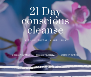 The 21 Day Conscious Cleanse