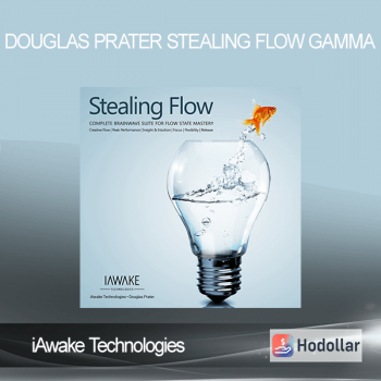 iAwake Technologies - Douglas Prater - Stealing Flow Gamma