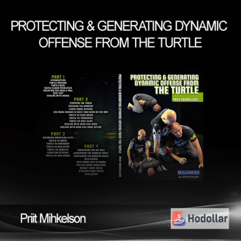 Priit Mihkelson - Protecting & Generating Dynamic Offense From The Turtle