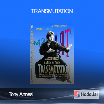 Tony Annesi - Transmutation