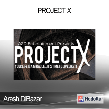 Arash DiBazar - Project X