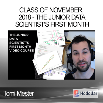 Tomi Mester - Class of November 2018 - The Junior Data Scientist's First Month