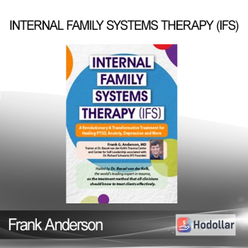 Frank Anderson - Internal Family Systems Therapy (IFS)