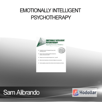 Sam Alibrando - Emotionally Intelligent Psychotherapy: Integrating Power Love & Mindfulness