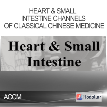 ACCM - Heart & Small Intestine Channels Of Classical Chinese Medicine