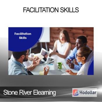 Stone River Elearning - Facilitation Skills