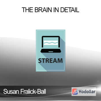 Susan Fralick-Ball - The Brain in Detail