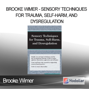 Brooke Wimer - Sensory Techniques for Trauma Self-Harm and Dysregulation