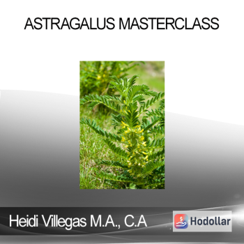 Heidi Villegas M.A. C.A - Astragalus Masterclass