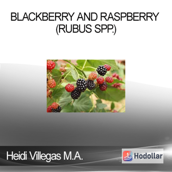 Heidi Villegas M.A. C.A - Blackberry and Raspberry (Rubus spp.)