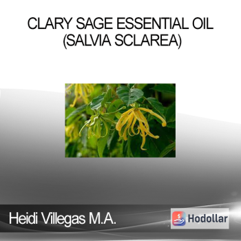 Heidi Villegas M.A. C.A - Clary Sage Essential Oil (Salvia sclarea)