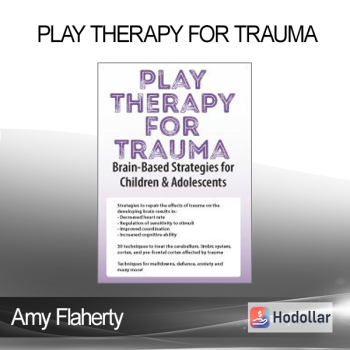 Amy Flaherty - Play Therapy for Trauma: Brain-Based Strategies for Children & Adolescents