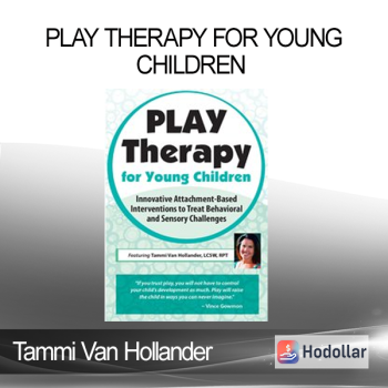 Tammi Van Hollander - Play Therapy for Young Children: Innovative Attachment-Based Interventions to Treat Behavioral and Sensory Challenges