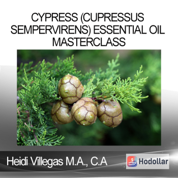 Heidi Villegas M.A. C.A - Cypress (Cupressus sempervirens) Essential Oil Masterclass