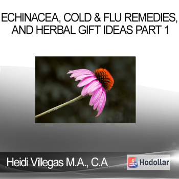 Heidi Villegas M.A. C.A - Echinacea Cold & Flu Remedies and Herbal Gift Ideas Part 1