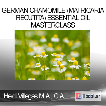 Heidi Villegas M.A C.A - German Chamomile (Matricaria recutita) Essential Oil Masterclass