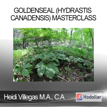 Heidi Villegas M.A. C.A - Goldenseal (Hydrastis canadensis) Masterclass