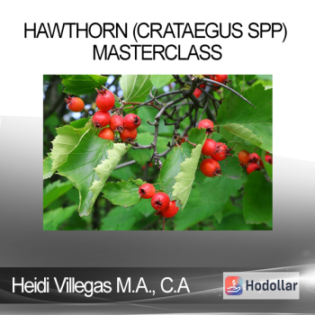 Heidi Villegas M.A. C.A - Hawthorn (Crataegus spp) Masterclass