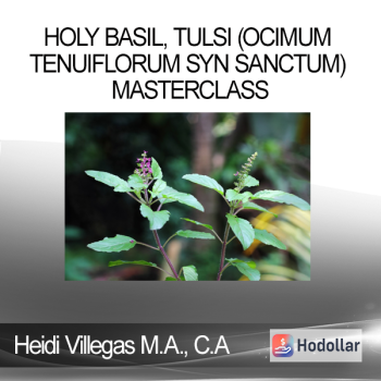 Heidi Villegas M.A. C.A - Holy Basil Tulsi (Ocimum tenuiflorum syn sanctum) Masterclass