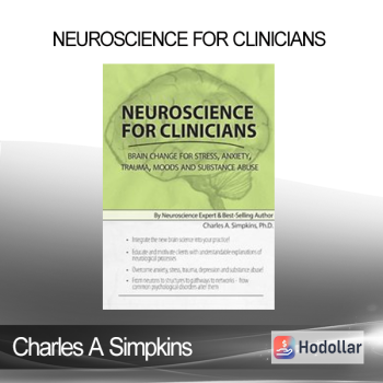 Charles A Simpkins - Neuroscience for Clinicians: Brain Change for Stress Anxiety Trauma Moods and Substance Abuse