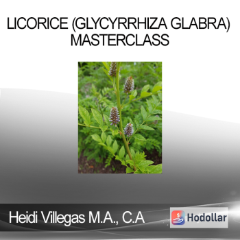 Heidi Villegas M.A. C.A - Licorice (Glycyrrhiza glabra) Masterclass