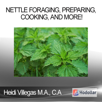 Heidi Villegas M.A. C.A - Nettle Foraging Preparing Cooking and More!