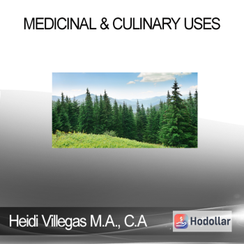 Heidi Villegas M.A. C.A - Pine - Medicinal & Culinary Uses