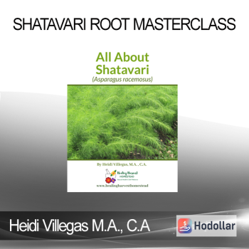 Heidi Villegas M.A. C.A - Shatavari Root Masterclass