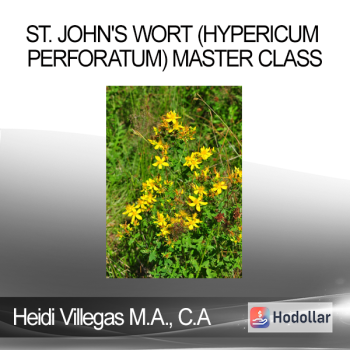 Heidi Villegas M.A. C.A - St. John's Wort (Hypericum perforatum) Master Class