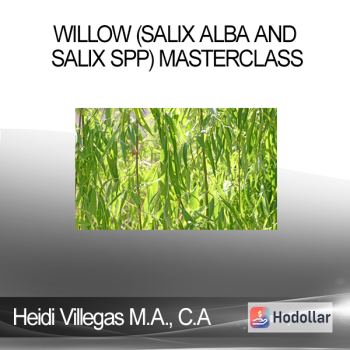 Heidi Villegas M.A. C.A - Willow (Salix alba and Salix spp) Masterclass